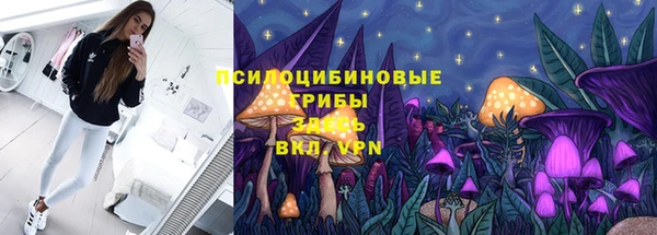 МДПВ Алзамай