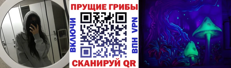 дарнет шоп Тамбов blacksprut ТОР Галлюциногенные грибы Psilocybe