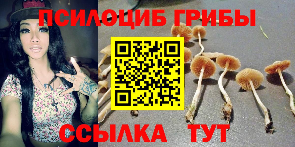 Псилоцибиновые грибы прущие грибы Тамбов