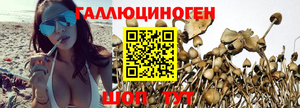 Галлюциногенные грибы прущие грибы  Вход с VPN  Галлюциногенные грибы мицелий  продажа наркотиков  Тамбов 
